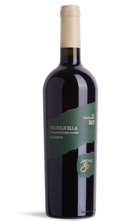 Vigna 800 Valpolicella classico